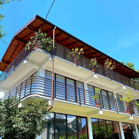 Casa Ionut Otel Borşa Dış mekan fotoğraf