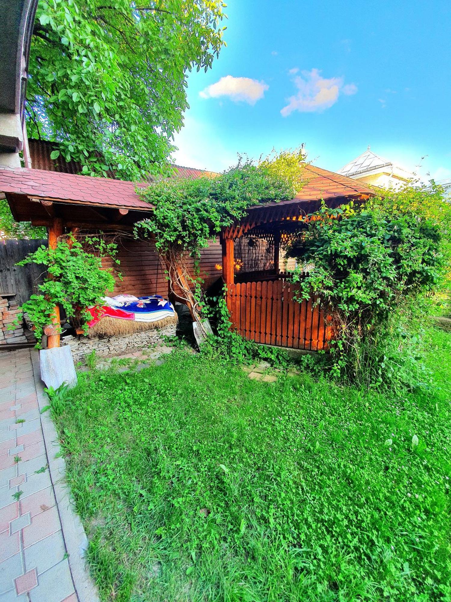 Casa Ionut Otel Borşa Dış mekan fotoğraf